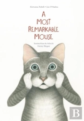A Most Mysterious Mouse