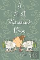 A Most Wondrous Place