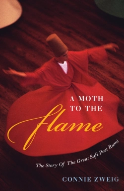 Bertrand.pt - A Moth To The Flame