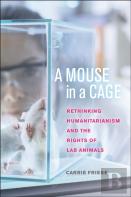 A Mouse In A Cage