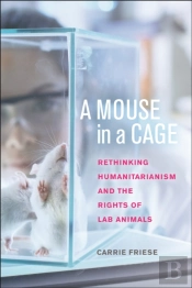 A Mouse In A Cage