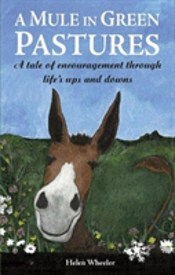 A Mule In Green Pastures