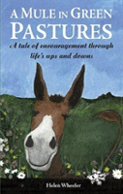 Bertrand.pt - A Mule In Green Pastures
