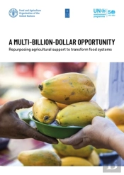 A Multi-Billion-Dollar Opportunity