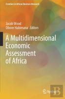 A Multidimensional Economic Assessment Of Africa