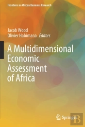 A Multidimensional Economic Assessment Of Africa