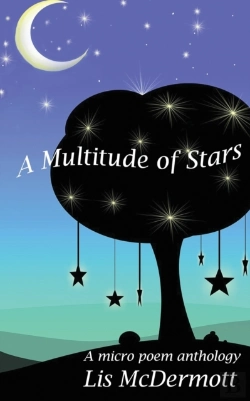 Bertrand.pt - A Multitude Of Stars