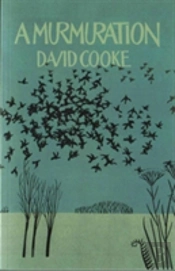 A Murmuration