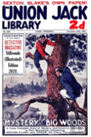 A Mystery In The Big Woods (Illustrated)