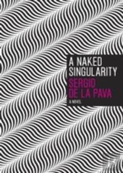 A Naked Singularity