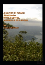A Nation In Flames
