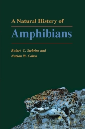 A Natural History Of Amphibians