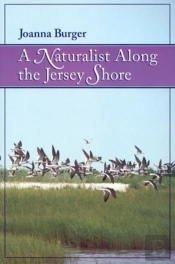 A Naturalist Along The Jersey Shore