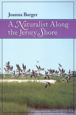 Bertrand.pt - A Naturalist Along The Jersey Shore