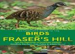 A Naturalist'S Guide To The Birds Of Fraser'S Hill & The Highlands Of Peninsular Malaysia