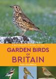 A Naturalist'S Guide To The Garden Birds Of Britain (2nd Edition)
