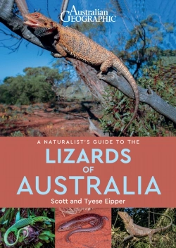 Bertrand.pt - A Naturalist'S Guide To The Lizards Of Australia