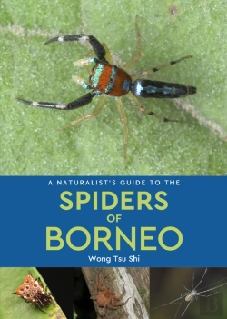 Bertrand.pt - A Naturalist'S Guide To The Spiders Of Borneo
