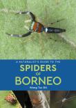 A Naturalist'S Guide To The Spiders Of Borneo