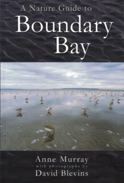 Bertrand.pt - A Nature Guide To Boundary Bay