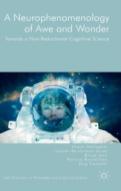 A Neurophenomenology Of Awe And Wonder