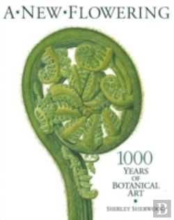 Bertrand.pt - A New Flowering