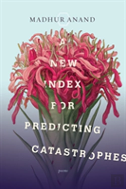 Bertrand.pt - A New Index For Predicting Catastrophes