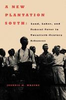 A New Plantation South