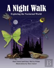 A Night Walk