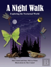 A Night Walk