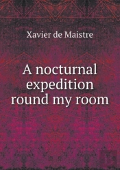 A Nocturnal Expedition Round My Room