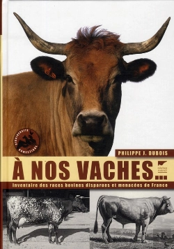 Bertrand.pt - À Nos Vaches ; L'Inventaire Des Races Bovines Disparues Et Menacées De France