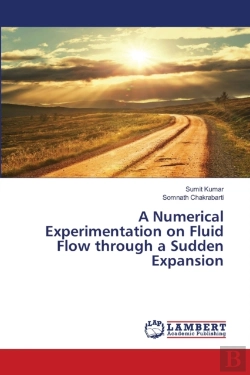 Bertrand.pt - A Numerical Experimentation On Fluid Flow Through A Sudden Expansion