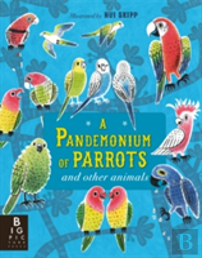A Pandemonium Of Parrots