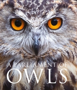Bertrand.pt - A Parliament Of Owls