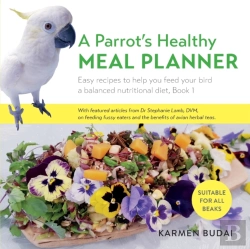Bertrand.pt - A Parrot'S Healthy Meal Planner