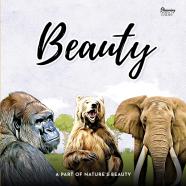 A Part Of Nature'S Beauty