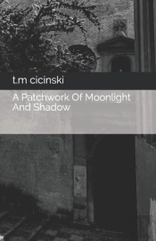 A Patchwork Of Moonlight And Shadow