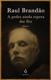 A Pedra ainda Espera Dar Flor - Dispersos