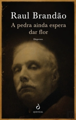 Bertrand.pt - A Pedra ainda Espera Dar Flor - Dispersos