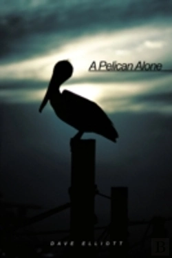 Bertrand.pt - A Pelican Alone