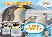 A Penguin'S Life Cycle