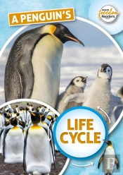 A Penguin'S Life Cycle