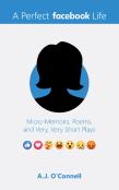 A Perfect Facebook Life