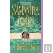 A Perfect Hero