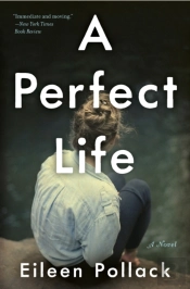 A Perfect Life