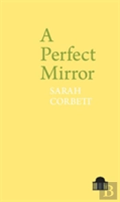A Perfect Mirror