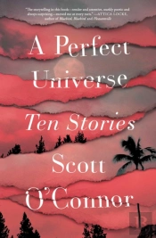 A Perfect Universe