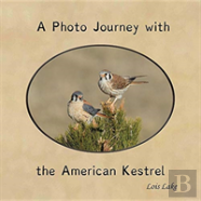 A Photo Journey With The American Kestrel