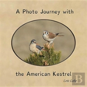 A Photo Journey With The American Kestrel